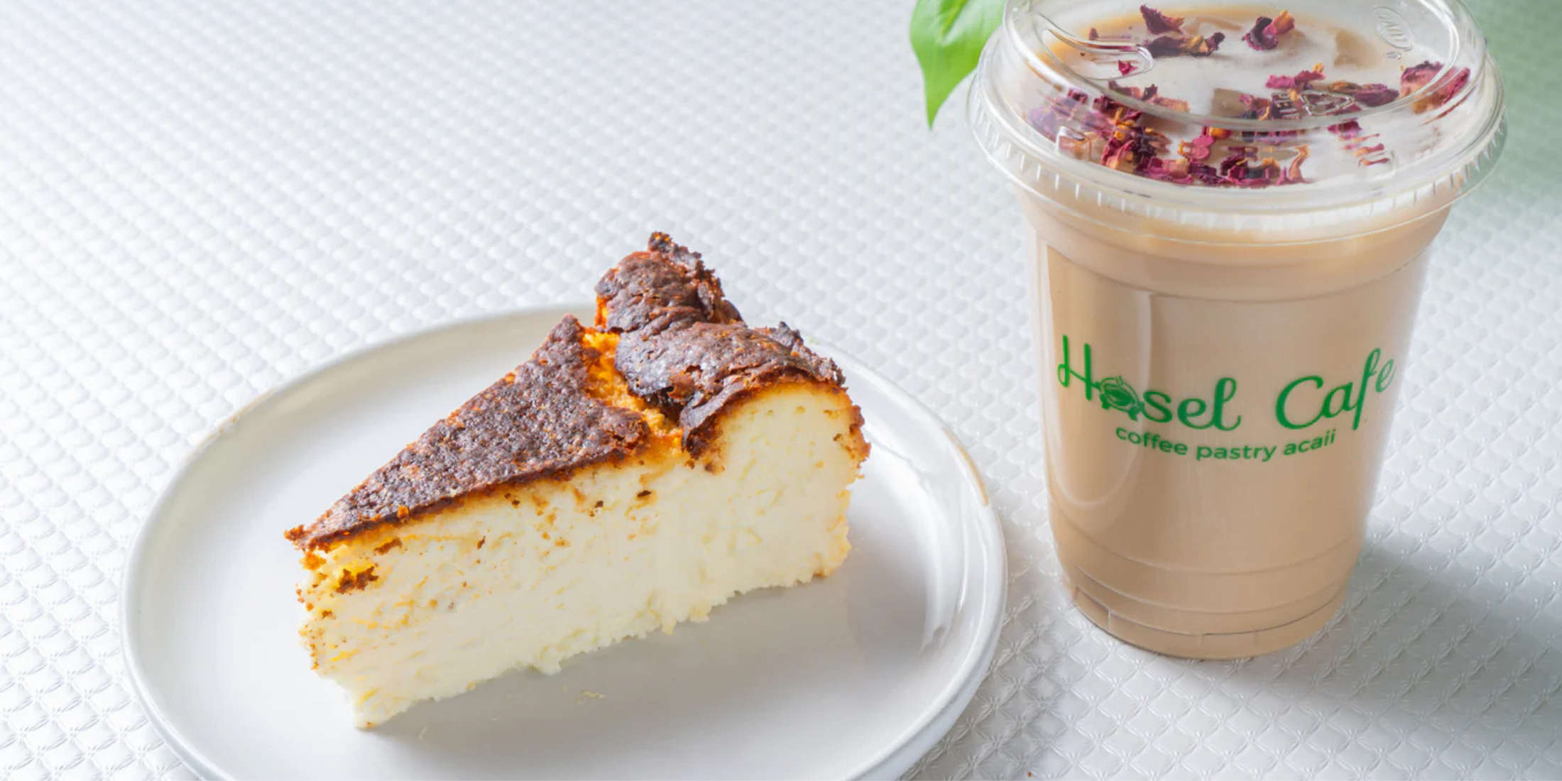 Best San Sebastian Cheesecake in Washington: Where to Find This Creamy Basque Dessert